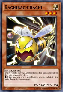 Bachibachibachi (LTGY-EN001)