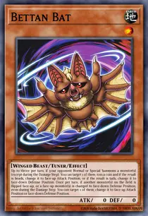 Bettan Bat (INFO-EN030)