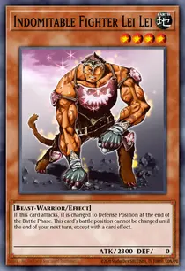 Indomitable Fighter Lei Lei (DR04-EN023)