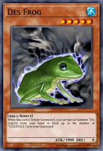 Des Frog (DR04-EN026)