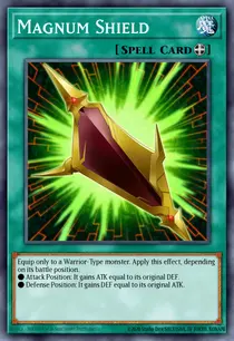Magnum Shield (MP14-EN035)