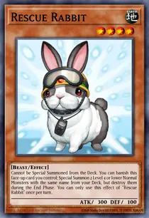 Rescue Rabbit (PHSW-EN037)