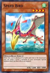 Speed Bird (YS11-EN008)