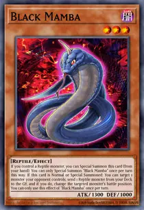 Black Mamba (BLMR-EN019)