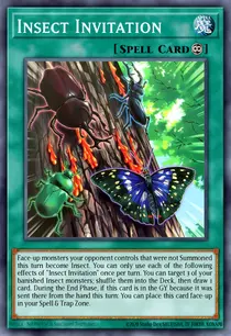 Insect Invitation (ROTA-EN083)