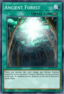 Ancient Forest (ANPR-EN048)