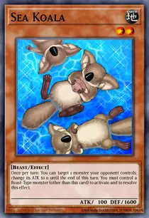 Sea Koala (PTDN-EN037)