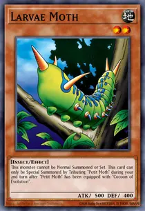 Larvae Moth (DB1-EN144)