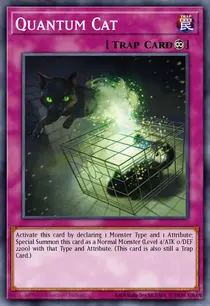 Quantum Cat (SDCL-EN037)