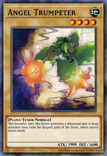 Angel Trumpeter (MP17-EN001)