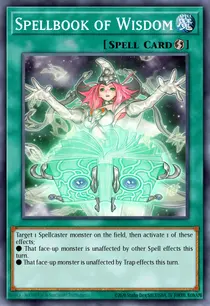 Spellbook of Wisdom (SR08-EN029)