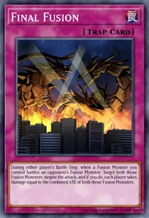 Final Fusion (DRLG-EN018)