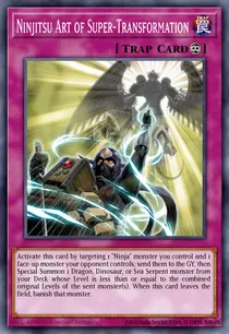 Ninjitsu Art of Super-Transformation (SHVA-EN029)