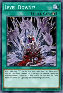 Level Down!? (CDIP-EN046)