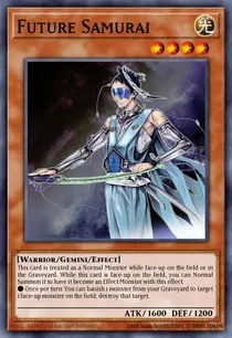 Future Samurai (PTDN-EN027)