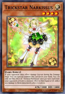 Trickstar Narkissus (CIBR-EN004)
