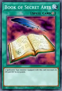 Book of Secret Arts (SDY-021)