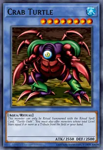 Crab Turtle (MRL-069)