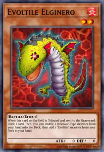 Evoltile Elginero (GAOV-EN083)