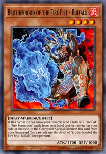 Brotherhood of the Fire Fist - Buffalo (MAGO-EN071)