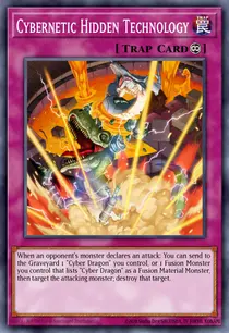 Cybernetic Hidden Technology (PTDN-EN069)