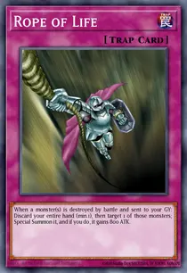 Rope of Life (DR1-EN054)