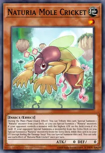 Naturia Mole Cricket (MP23-EN170)