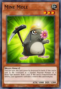 Mine Mole (DREV-EN014)