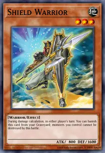 Shield Warrior (DP08-EN007)