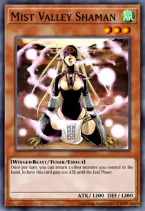 Mist Valley Shaman (DT01-EN014)