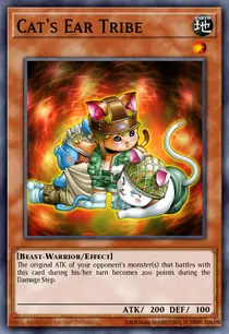 Cat's Ear Tribe (MFC-081)