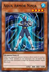 Aqua Armor Ninja (SP13-EN017)