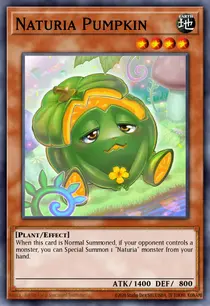 Naturia Pumpkin (HAC1-EN117)