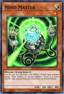 Mind Master (TDGS-EN016)