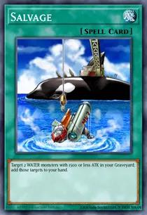 Salvage (SDFC-EN032)