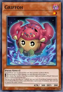 Carta Griffoh, CORI-EN004