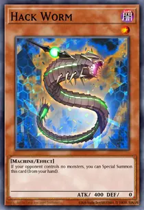 Hack Worm (COTD-EN012)