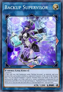 Backup Supervisor (DUPO-EN015)