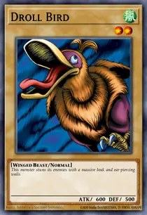 Droll Bird (WCPP-EN001)