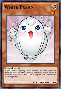 White Potan (ANPR-EN033)