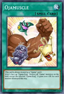 Ojamuscle (DR04-EN101)