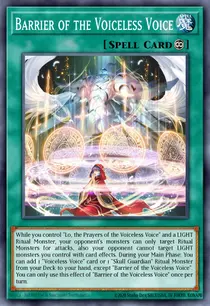 Barrier of the Voiceless Voice (MP25-EN170)