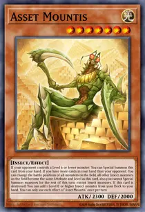 Asset Mountis (MP24-EN248)