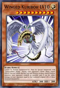 Winged Kuriboh LV10 (DR04-EN005)