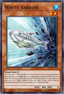 White Sardine (MP25-EN305)
