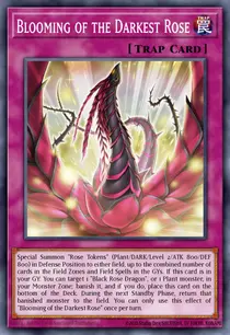 Blooming of the Darkest Rose (L5DD-ENA25)