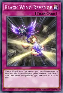 Black Wing Revenge (DRLG-EN031)