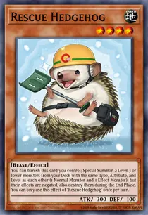Rescue Hedgehog (MP25-EN261)